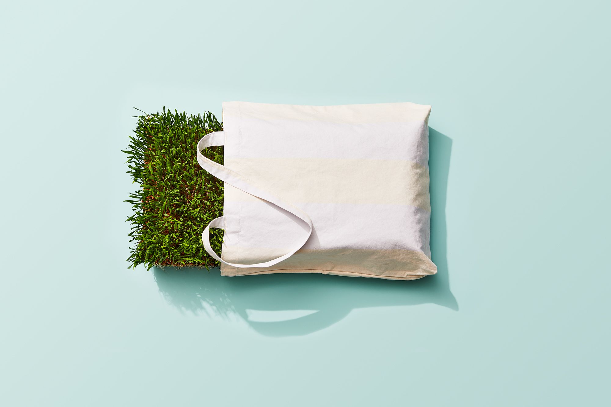 How Eco-Friendly Improvements Can Save You Money and Attract Buyers